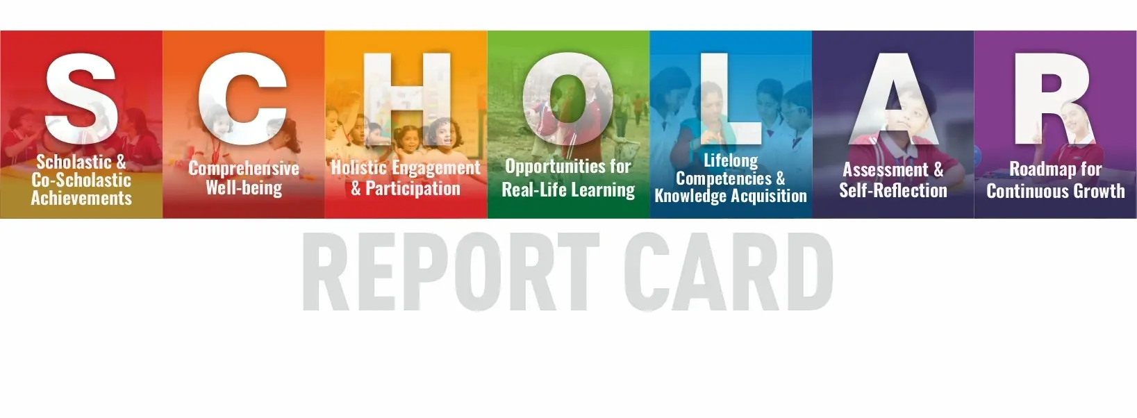 Scholar Social Media Post